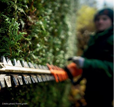 Entretien d'espaces verts - Travaux élagage